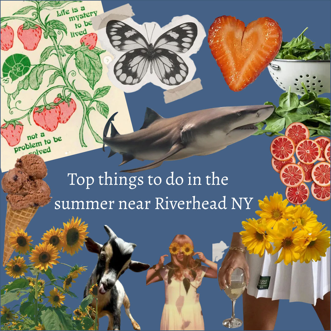 A collage of items including a shark, sunflowers, fresh fruits and vegetables, and cottage core themed stickers